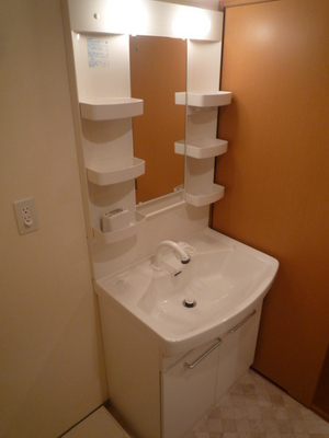 Washroom. Wash basin