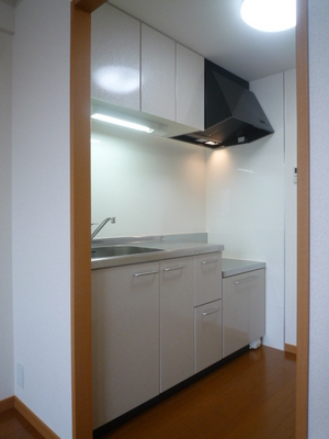 Kitchen. Independent kitchen