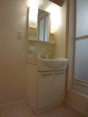 Washroom. Shampoo dresser