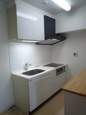 Kitchen. System kitchen