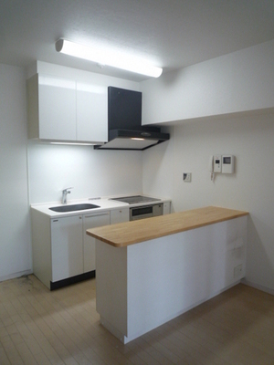 Living and room. With counter