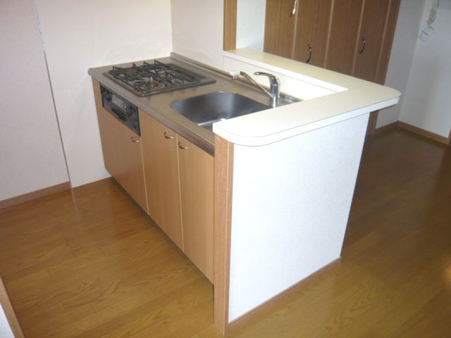 Kitchen. System kitchen