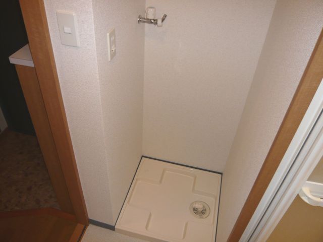 Other room space. Washing machine in the room