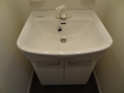 Washroom. Shampoo dresser