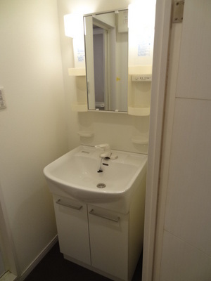 Washroom. Shampoo dresser