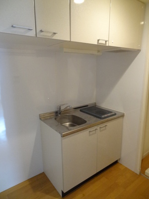 Kitchen. System kitchen