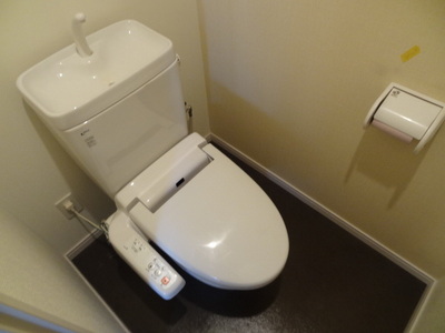 Toilet. Bidet shower toilet