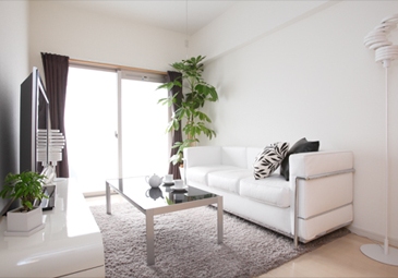 Living and room. Living