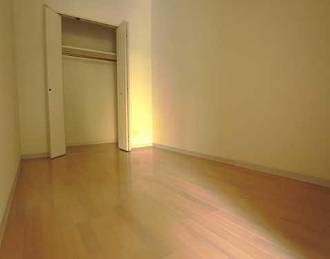 Other room space. Western style room