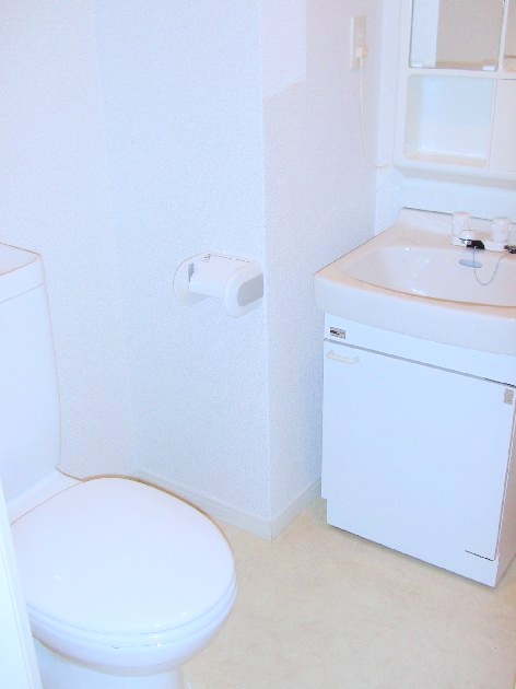 Washroom. Wash basin