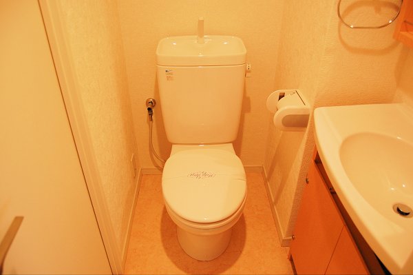 Toilet. With shelf