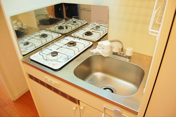 Kitchen. Gas stove 2-neck