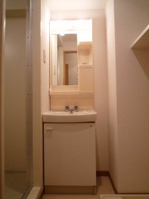 Washroom. Wash basin