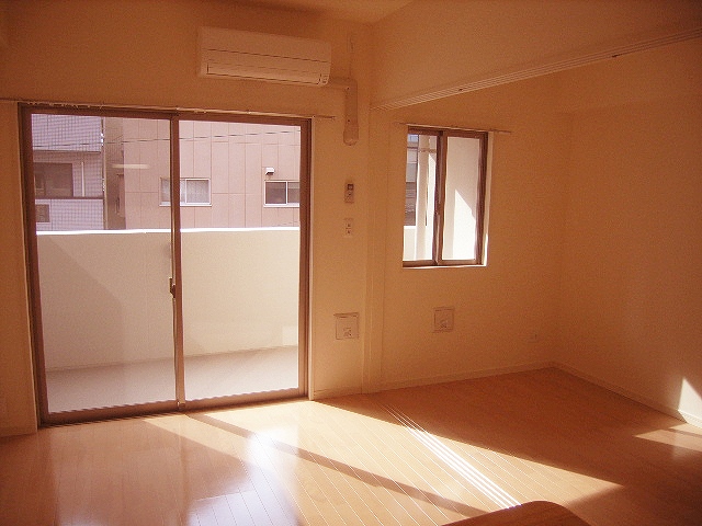 Living and room. Good day in the southwest-facing