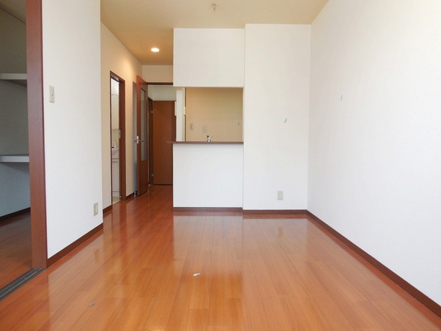 Living and room. A bright room