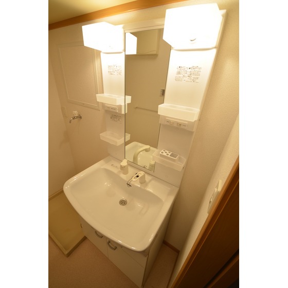 Washroom. Wash basin