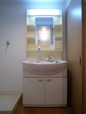 Washroom. Wash basin