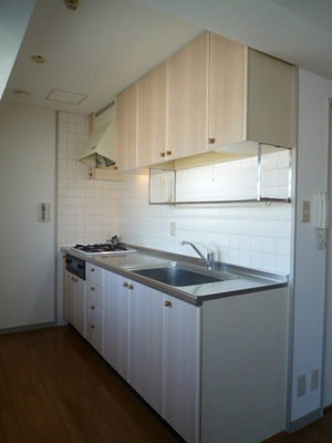Kitchen. System kitchen