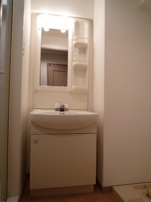 Washroom. Wash basin