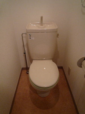 Toilet. Toilet