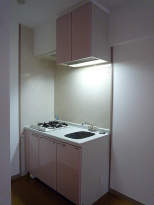 Kitchen. System kitchen