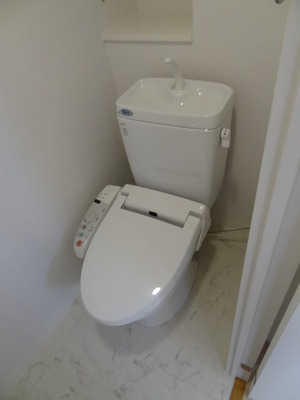 Toilet. Bidet shower toilet