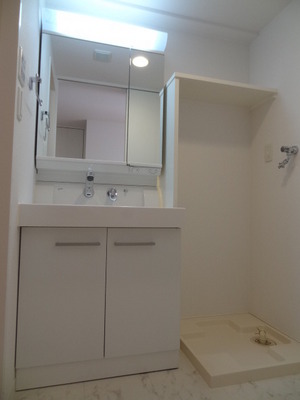 Washroom. Shampoo dresser