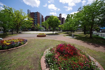 park. 507m to medium barnyard park (park)