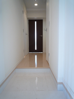 Entrance. Entrance hall