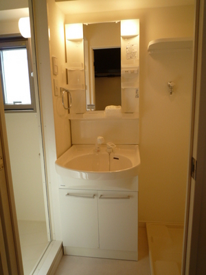 Washroom. Wash basin