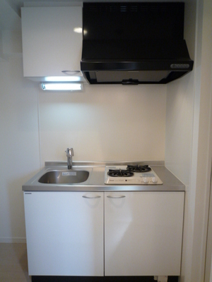 Kitchen. System kitchen