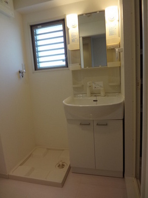 Washroom. Wash basin