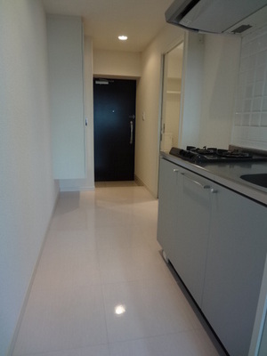 Living and room. Kitchen space