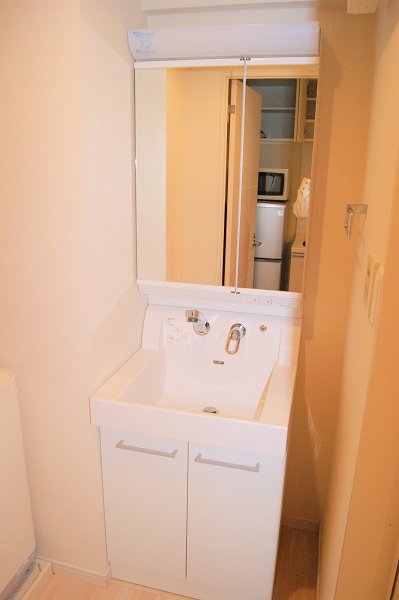 Washroom. Shampoo dresser