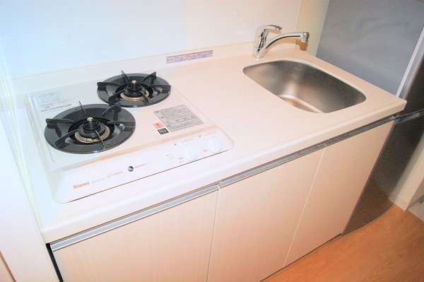 Kitchen. Gas stove 2-neck