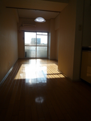 Living and room. Western style room