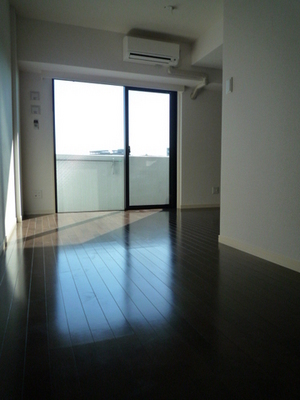 Living and room. Western style room