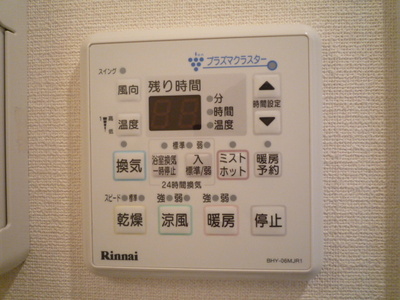 Bath. With mist sauna