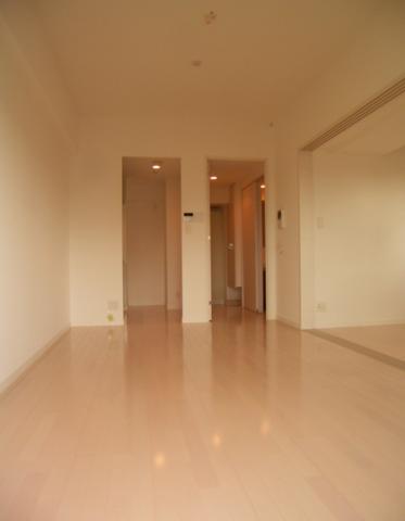 Living and room. Bright flooring