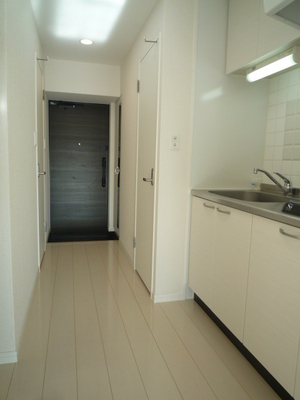 Kitchen. Kitchen space