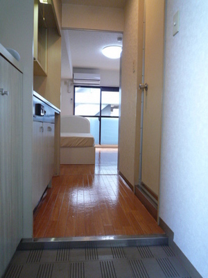 Entrance. Entrance hall