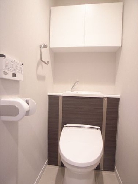 Toilet. Warm water washing toilet seat