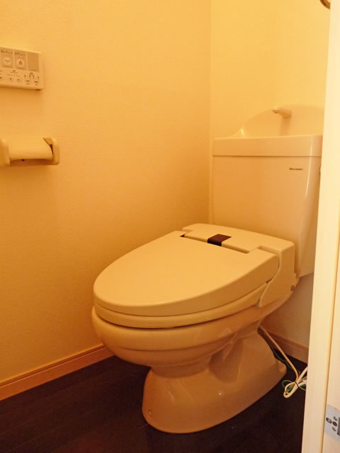 Toilet. Warm water washing toilet seat