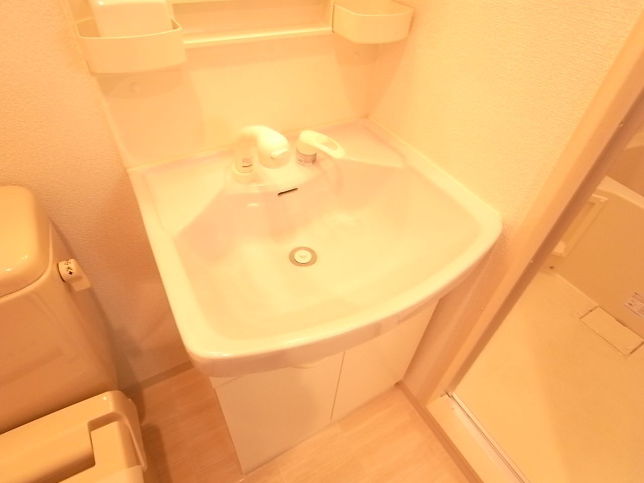 Other. With shampoo dresser!