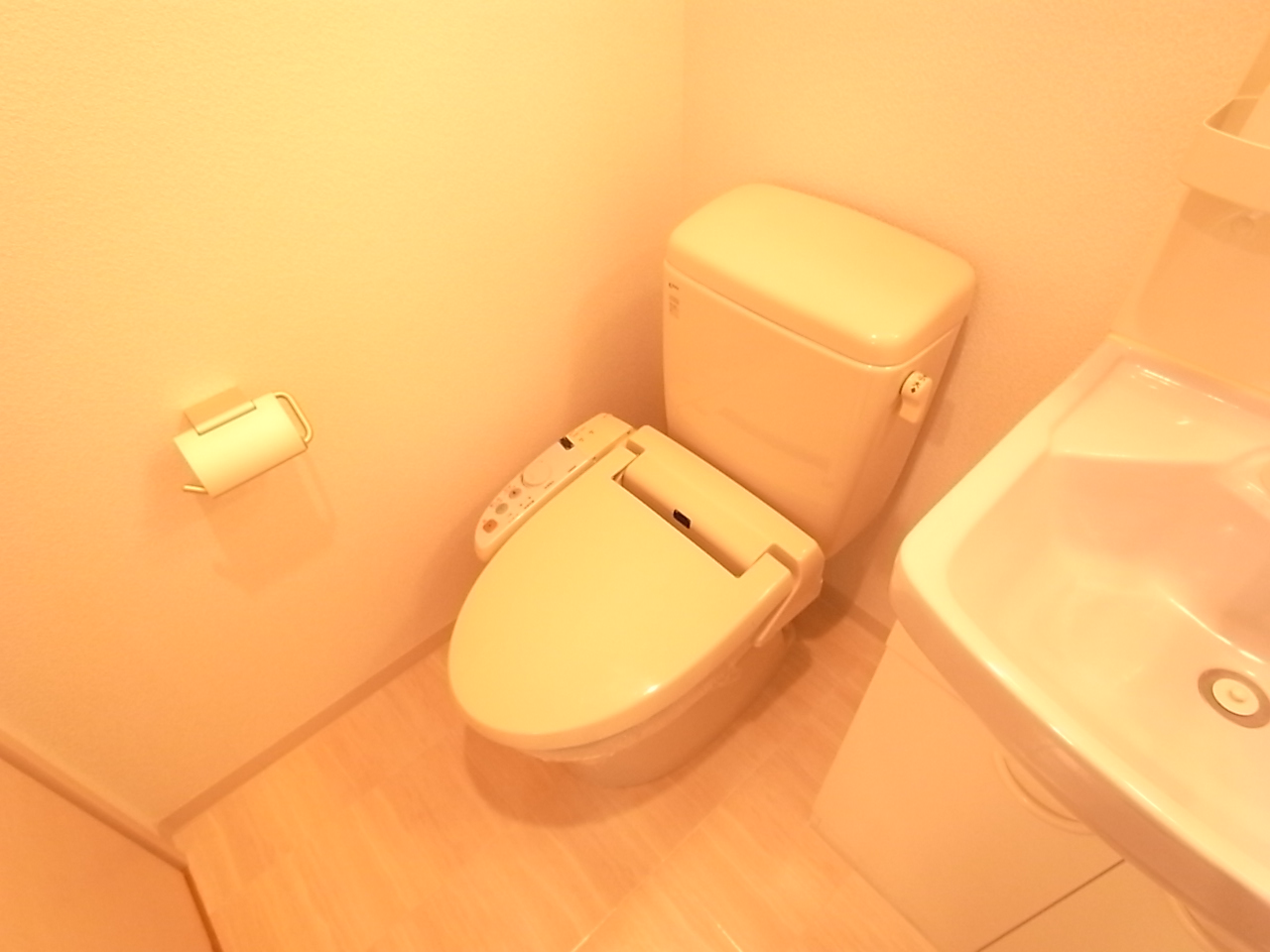 Toilet. With Washlet.