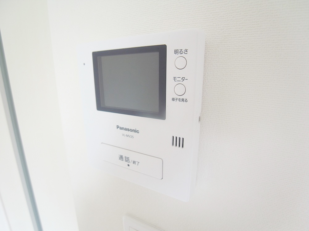 Security. TV monitor phone