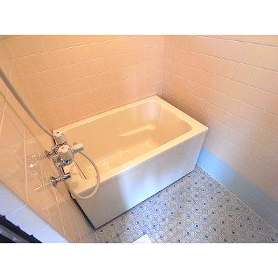 Bath. Pleasant bathing in the clean bath! 