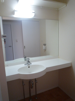 Washroom. Wash basin