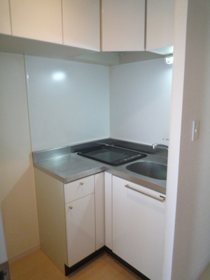 Kitchen. System kitchen