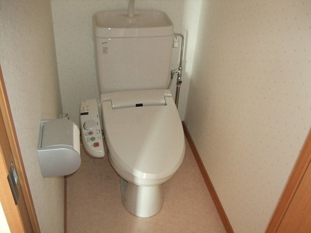 Other room space. Shower toilet